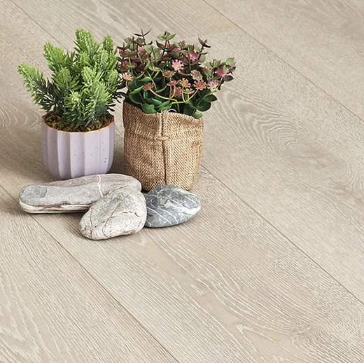 Дуб Морская гавань